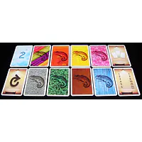 COLORETTO	- Anniversary edition - Master