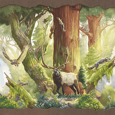 Redwood: Big Box primary image