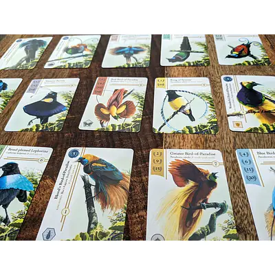 BIRDWATCHER secondary image