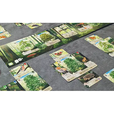 FOREST SHUFFLE secondary image