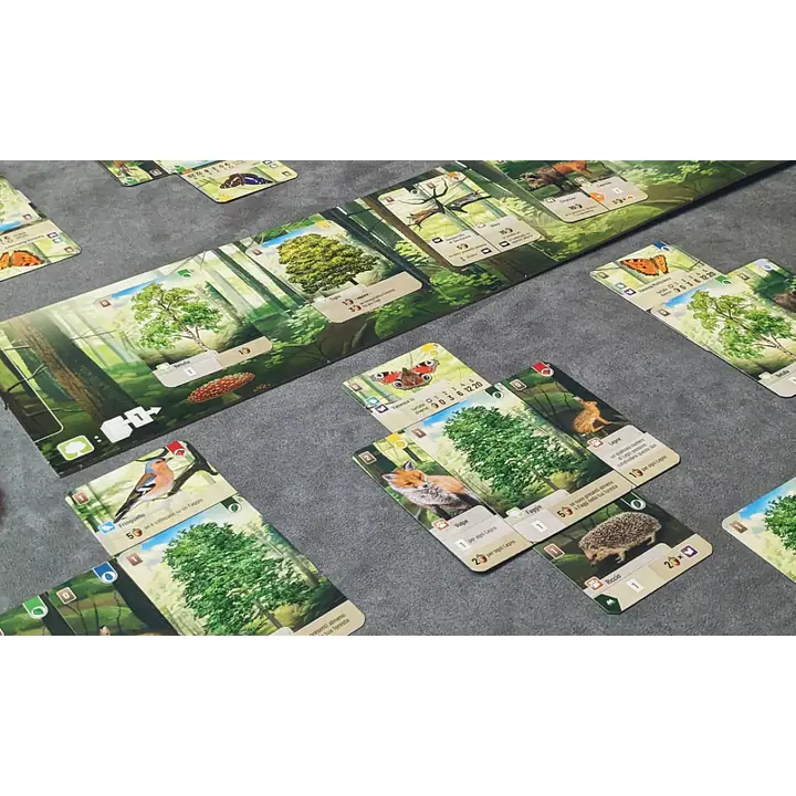 FOREST SHUFFLE  - Master