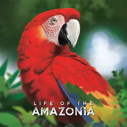 LIFE OF AMAZONIA - Master
