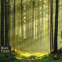 Black Forest - Master