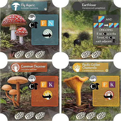 Undergrove secondary image