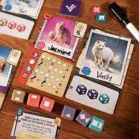 The Fox Experiment - Master