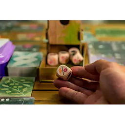 WINGSPAN: OCEANIA EXPANSION - Master