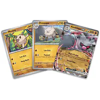 Pokemon - PKM - Annihilape Ex Box - Master