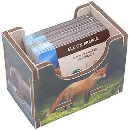 Cascadia Insert - Folded Space - Master