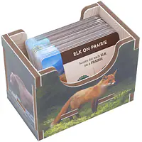 Cascadia Insert - Folded Space - Master