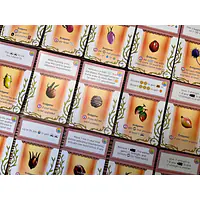 Apiary: Expanding the Hive - Master