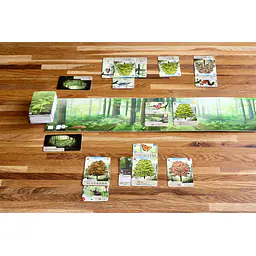 Mešani gozd (Forest Shuffle) - Slovenska izdaja - Master