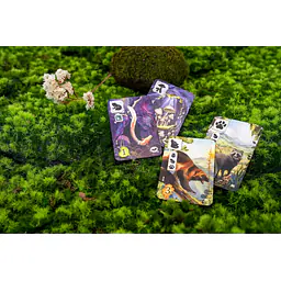 Meadow: Adventure Book - Master