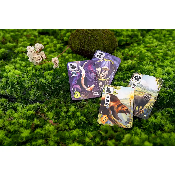 Meadow: Adventure Book - Master