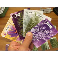  Herbaceous - Master
